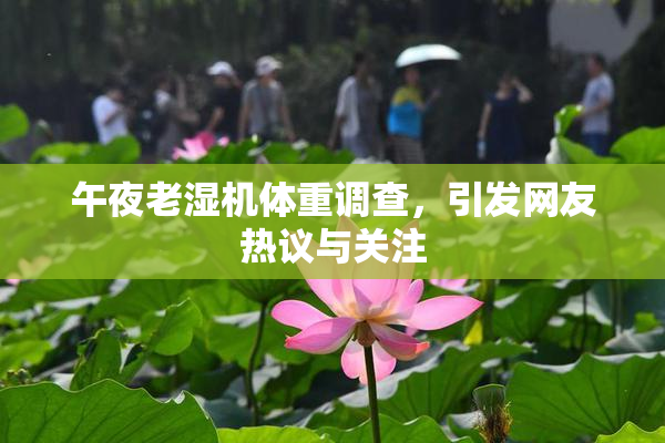 午夜老湿机体重调查，引发网友热议与关注