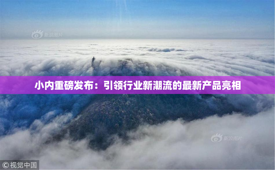 小内重磅发布：引领行业新潮流的最新产品亮相