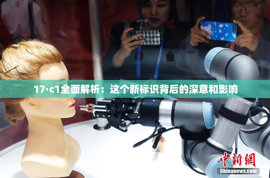 17·c1全面解析：这个新标识背后的深意和影响