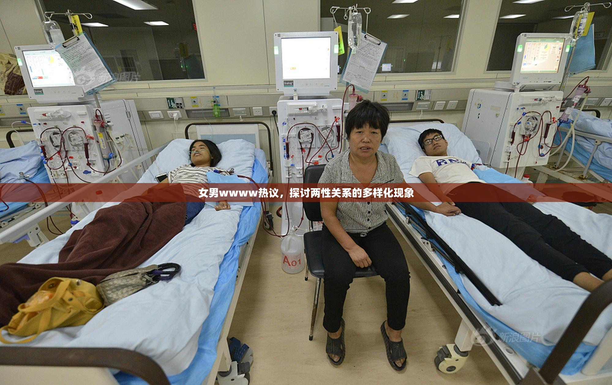 女男wwww热议，探讨两性关系的多样化现象