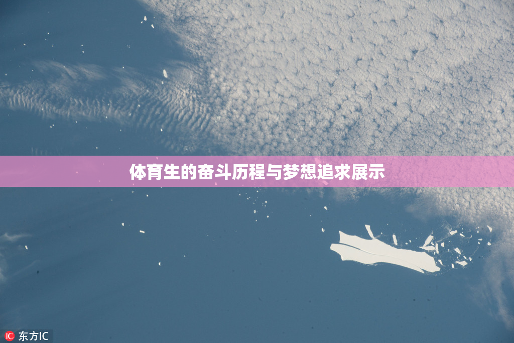 体育生的奋斗历程与梦想追求展示