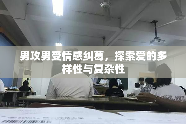 男攻男受情感纠葛，探索爱的多样性与复杂性