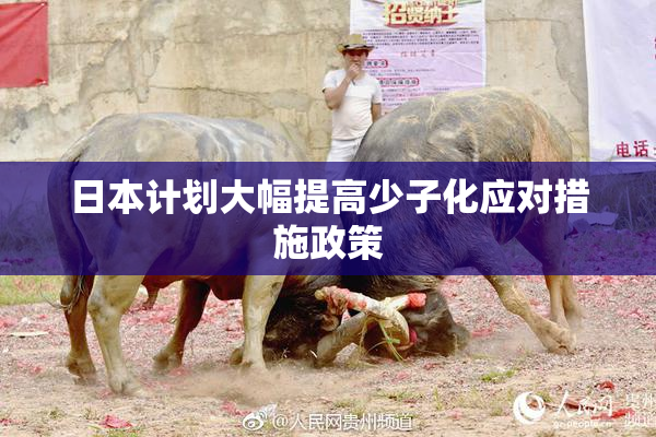 日本计划大幅提高少子化应对措施政策