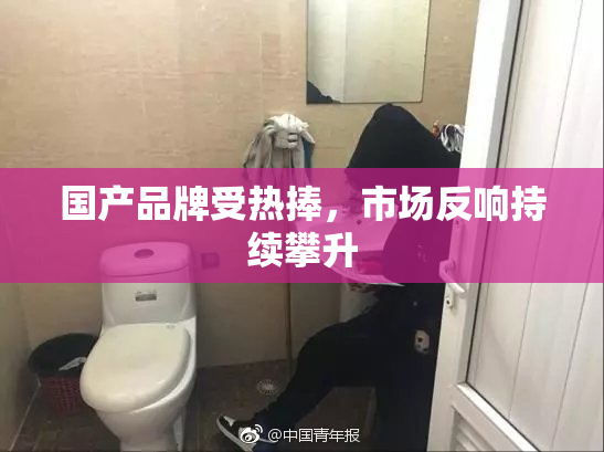 国产品牌受热捧，市场反响持续攀升