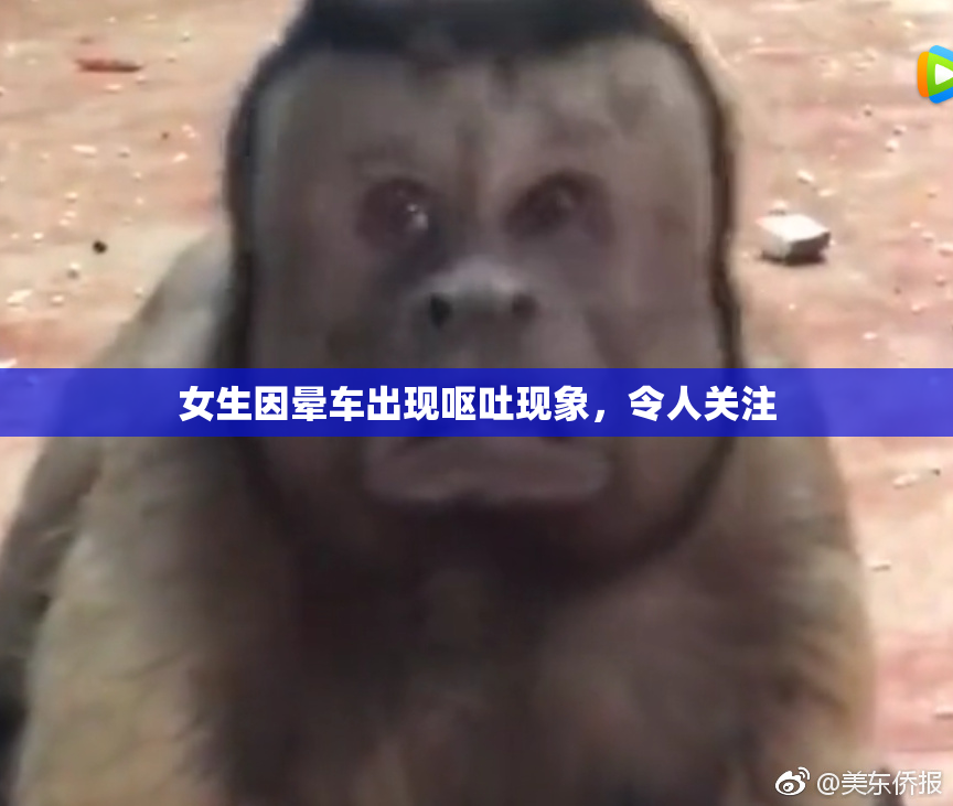 女生因晕车出现呕吐现象，令人关注