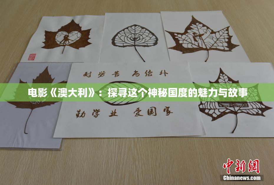 电影《澳大利》：探寻这个神秘国度的魅力与故事