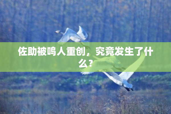 佐助被鸣人重创，究竟发生了什么？
