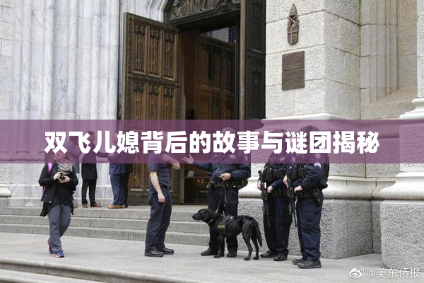 双飞儿媳背后的故事与谜团揭秘