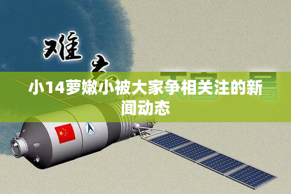 小14萝嫩小被大家争相关注的新闻动态