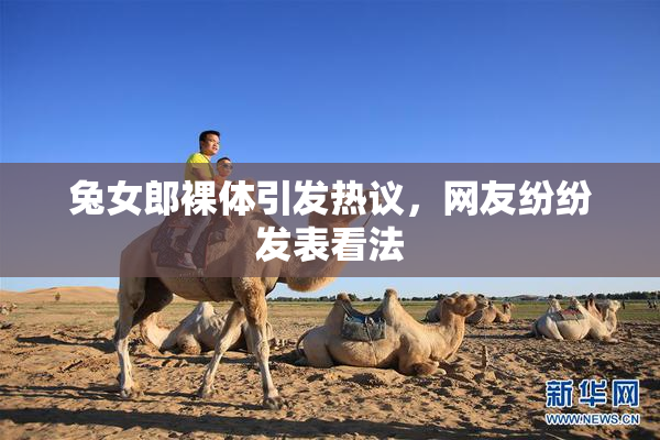 兔女郎裸体引发热议，网友纷纷发表看法
