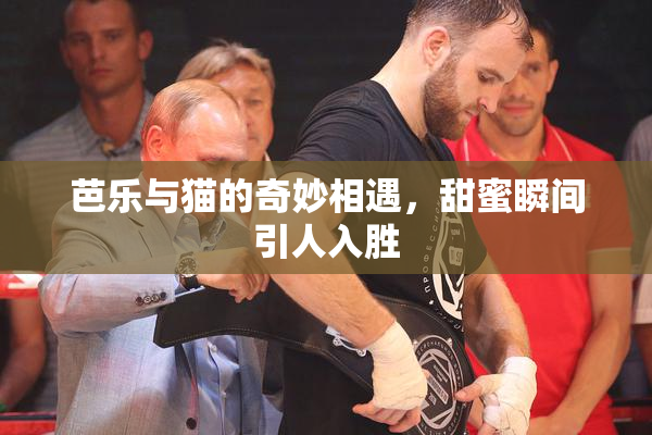 芭乐与猫的奇妙相遇，甜蜜瞬间引人入胜