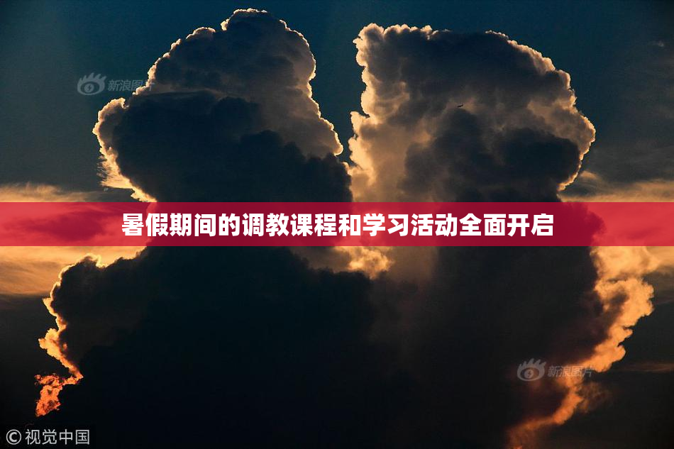 暑假期间的调教课程和学习活动全面开启