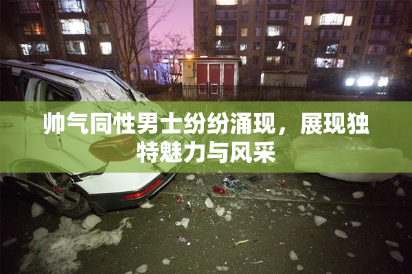 帅气同性男士纷纷涌现，展现独特魅力与风采
