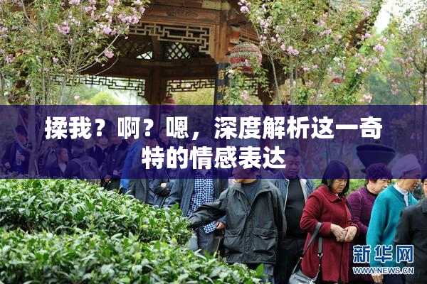 揉我？啊？嗯，深度解析这一奇特的情感表达