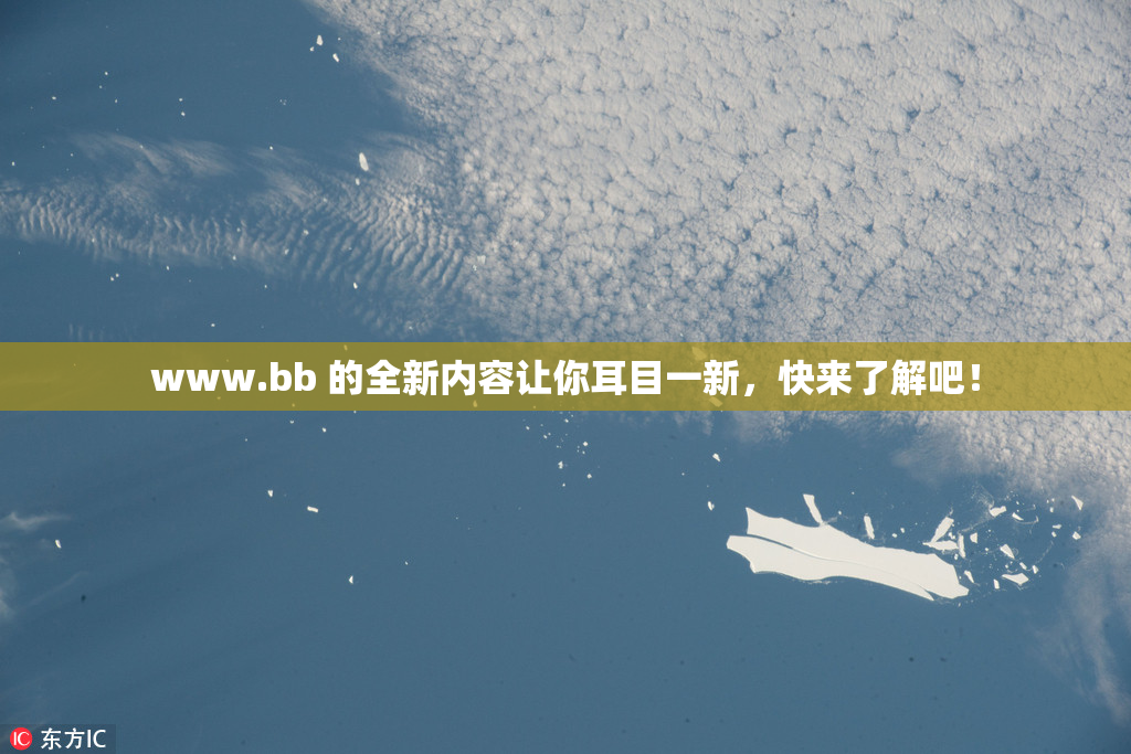 www.bb 的全新内容让你耳目一新，快来了解吧！