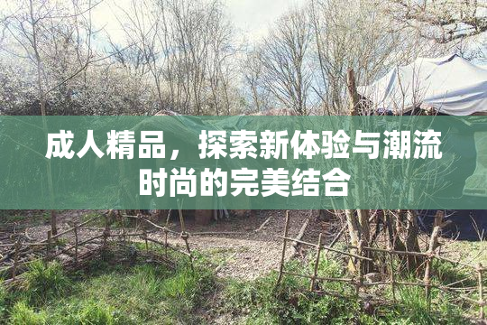 成人精品，探索新体验与潮流时尚的完美结合