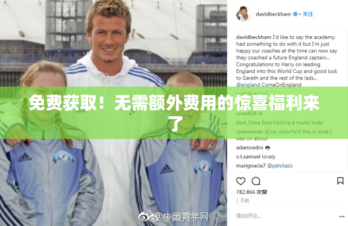 免费获取！无需额外费用的惊喜福利来了