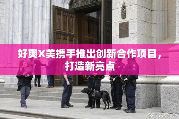 好爽X美携手推出创新合作项目，打造新亮点