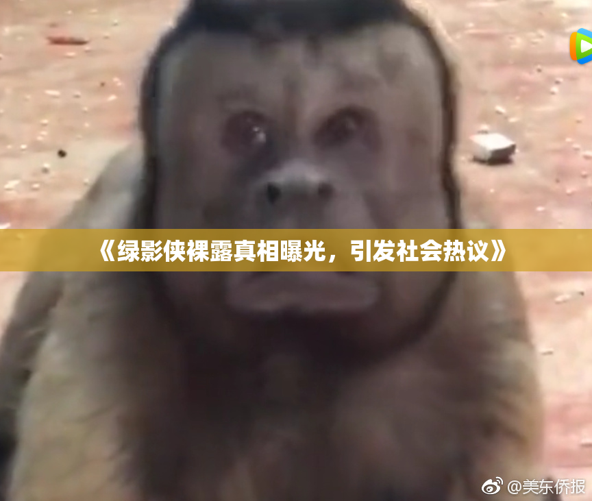 《绿影侠裸露真相曝光，引发社会热议》
