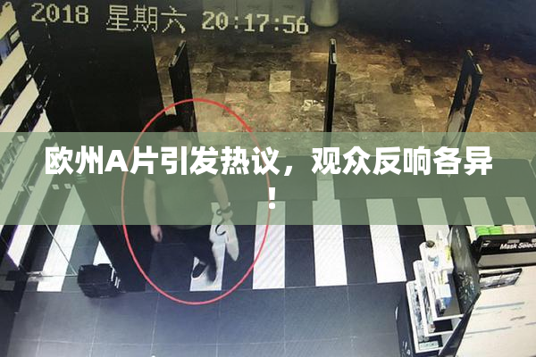 欧州A片引发热议，观众反响各异！