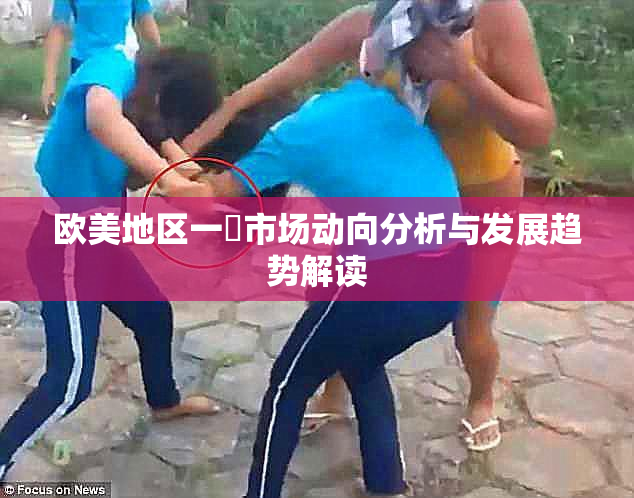 欧美地区一級市场动向分析与发展趋势解读