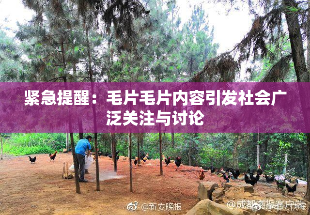紧急提醒：毛片毛片内容引发社会广泛关注与讨论