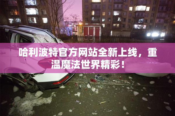哈利波特官方网站全新上线，重温魔法世界精彩！