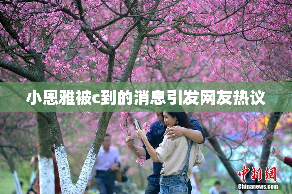 小恩雅被c到的消息引发网友热议