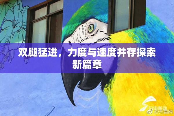 双腿猛进，力度与速度并存探索新篇章