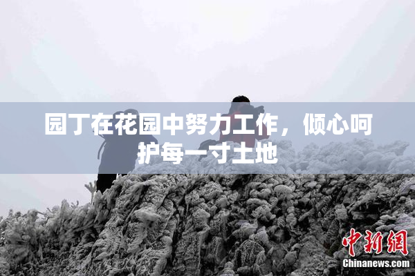 园丁在花园中努力工作，倾心呵护每一寸土地