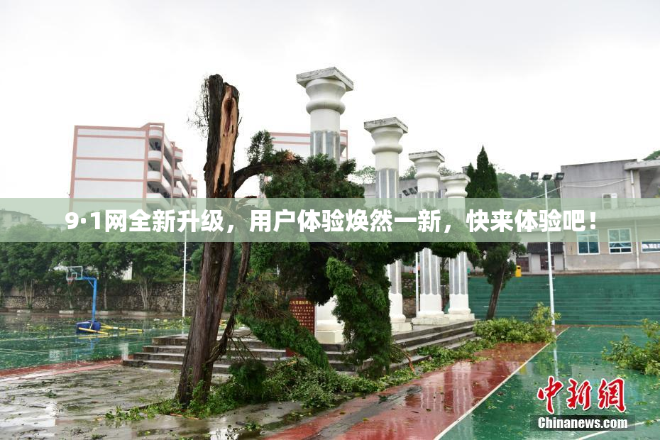 9·1网全新升级，用户体验焕然一新，快来体验吧！