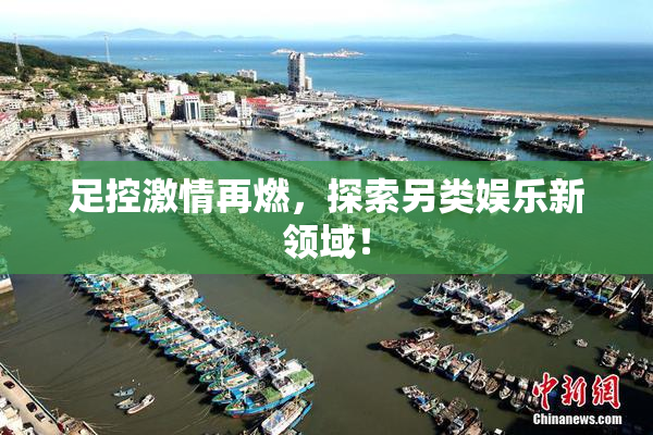 足控激情再燃，探索另类娱乐新领域！