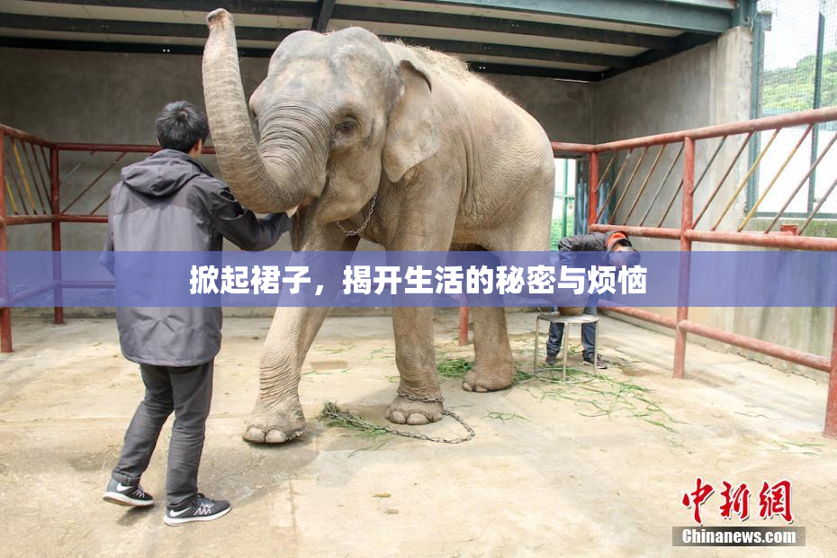 掀起裙子，揭开生活的秘密与烦恼