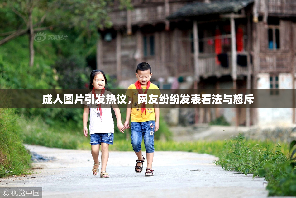 成人图片引发热议，网友纷纷发表看法与怒斥