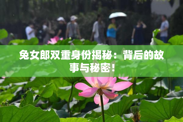 兔女郎双重身份揭秘：背后的故事与秘密！