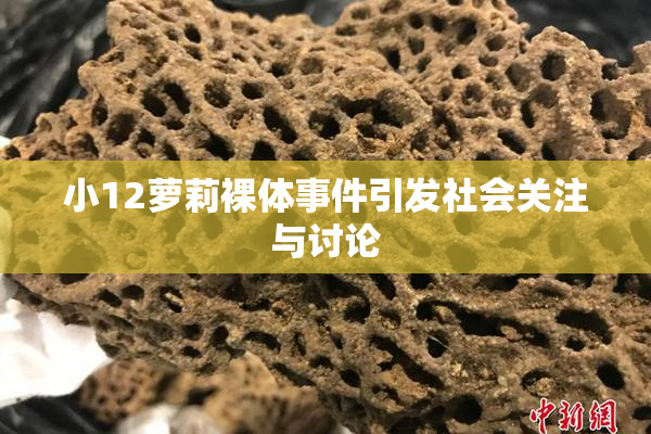 小12萝莉裸体事件引发社会关注与讨论