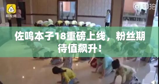 佐鸣本子18重磅上线，粉丝期待值飙升！