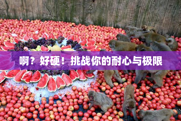 啊？好硬！挑战你的耐心与极限
