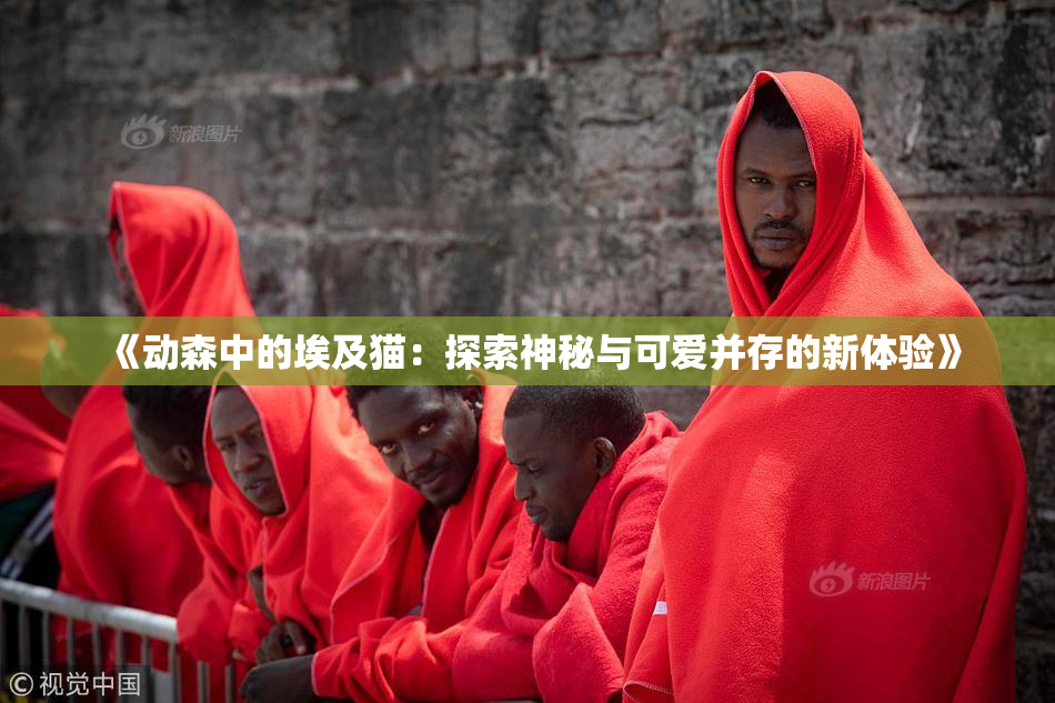 《动森中的埃及猫：探索神秘与可爱并存的新体验》
