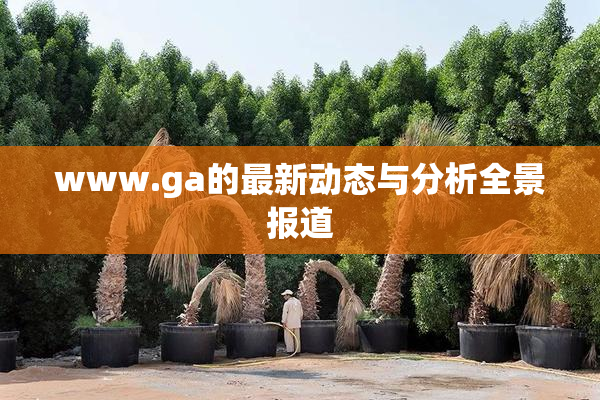 www.ga的最新动态与分析全景报道