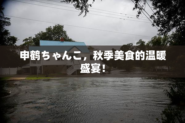 申鹤ちゃんこ，秋季美食的温暖盛宴！