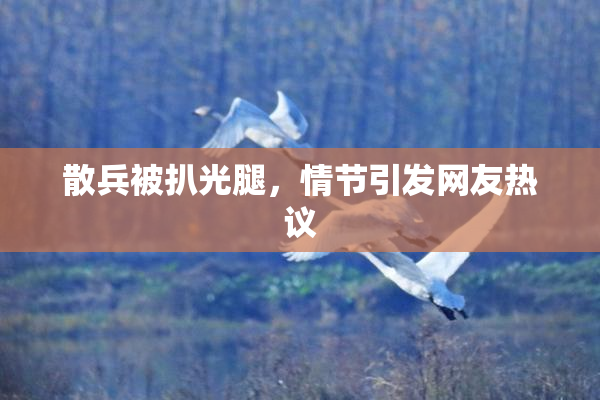 散兵被扒光腿，情节引发网友热议