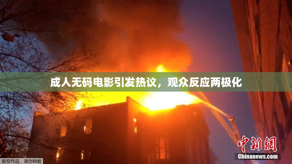 成人无码电影引发热议，观众反应两极化