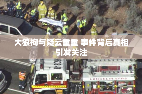 大狼拘与疑云重重 事件背后真相引发关注