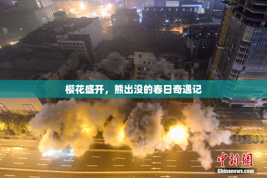 樱花盛开，熊出没的春日奇遇记