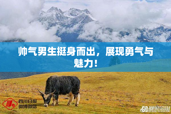 帅气男生挺身而出，展现勇气与魅力！