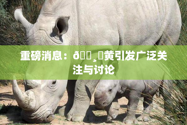 重磅消息：🌸‌黄引发广泛关注与讨论