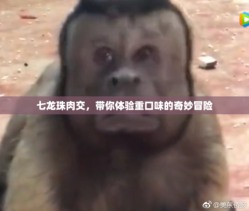 七龙珠肉交，带你体验重口味的奇妙冒险