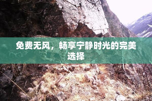 免费无风，畅享宁静时光的完美选择