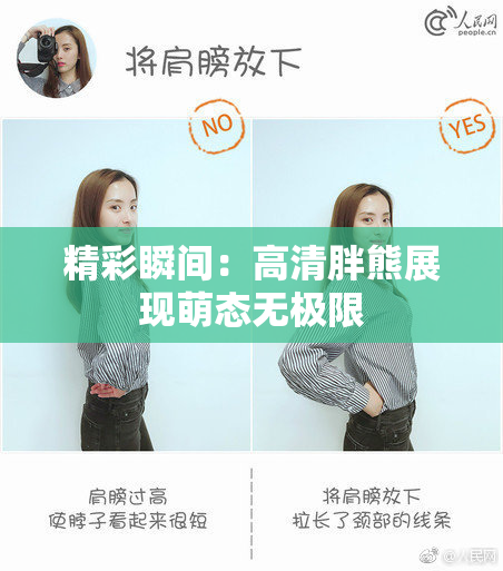 精彩瞬间：高清胖熊展现萌态无极限